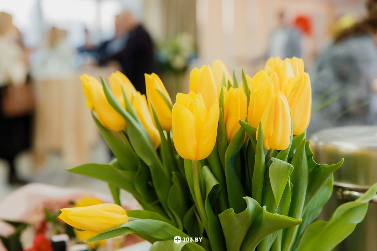 НАМ 15 ЛЕТ, вечеринка в стиле Голливуд