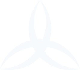 Шумилова Анна